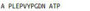 OVA Conjugated Pancreatic Polypeptide (PP), RPU50855