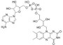 BSA Conjugated Flavin Adenine Dinucleotide (FAD), RPU50899