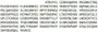 Recombinant Hephaestin (HEPH), RPU51626