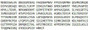 Recombinant Beta Actin (ACTB), RPU52947