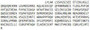 Recombinant Wingless Type MMTV Integration Site Family, Member 4 (WNT4), RPU53287