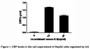 Interleukin-6 (IL-6), a pro-inflammatory cytokine and an anti-inflammatory myokine, plays important roles in the acute phase reaction, inflammation, hematopoiesis, bone metabolism, and cancer progression. It has been reported that IL6 induces C-reactive protein (CRP) expression through the STAT3 pathway in HepG2 cells. To test this effect, HepG2 cells were seeded overnight at a density of 1x105 cells/mL, and treated with or without various concentrations of IL6 for 24h and CRP levels in the cell supernatant were determined by ELISA. CRP levels in the cell supernatant of HepG2 cells increased significantly after stimulated with IL6, the data was shown in Table 1 and Figure 1.