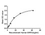 Figure. The binding activity of SIRT3 with IDH2.