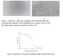 Granulysin (GNLY) is a member of the saposin-like protein (SAPLIP) family of membrane disrupting proteins. Granulysin is expressed in granules of natural killer and activated cytotoxic T cells. It exhibits cytolytic activity against intracellular or extracellular microbes and also tumors, either alone or in synergy with perforin. Human granulysin has structural similarity and 30 - 40% aa identity to granulysins and NK-lysins of other mammals such as bovine, porcine and canine; similar peptides in rodents have not been identified. The 15 kDa unglycosylated protein contains five helical domains; helix 2 and 3 contain 9 arginines and one cysteine critical for activity. The activity of GNLY is usually measured by a cell apoptosis assay using Jurkat cells. Jurkat cells were seeded into triplicate wells of 96-well plates at a density of 8,000 cells/well with 5% serum standard 1640 which contains various concentrations of recombinant human GM-CSF. After incubated for 3 days, cells were observed by inverted microscope and cell proliferation was measured by Cell Counting Kit-8 (CCK-8). Briefly, 10 ul of CCK-8 solution was added to each well of the plate, then the absorbance at 450 nm was measured using a microplate reader after incubating the plate for 2-4 hours at 37 °C. Apoptosis of Jurkat cells after incubation with GNLY for 3 days observed by inverted microscope was shown. Cell viability was assessed by CCK-8 (Cell Counting Kit-8 ) assay after incubation with recombinant human GNLY for 3 days. It was obvious that GNLY significantly decreased cell viability of Jurkat cells. The ED50 is 0.84 ug/ml.