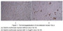 Galectin-4(GAL4) is a protein that in humans is encoded by the LGALS4 gene. The galectins are a family of beta-galactoside-binding proteins implicated in modulating cell-cell and cell-matrix interactions. LGALS4 is an S-type lectin that is strongly underexpressed in colorectal cancer. In this case, we chose rabbit erythrocyte (RaE) to assay its ability of agglutination. A general procedure for hemagglutination assay (or haemagglutination assay; HA) is as follows, two-fold dilute the recombinant mouse GAL4 with 0.9% sodium chloride injection, add 50μL a serial dilution of GAL4 to each well of a U or V-bottom shaped 96-well microtiter plate. The final well serves as a negative control without GAL4, replace with 50μL 0.9% sodium chloride injection. Then add 50μL 1% rabbit erythrocyte to each well and mixed gently. The plate is incubated for 3 hours at room temperature. The results are shown. It was obvious that the minimal effective concentration of GAL4 is 12.5μg/mL.