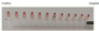 The hemagglutination assay of GAL9 in V- bottom shaped 96-well microtiter plate.