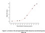 Interleukin 1 beta (IL-1β) also known as leukocytic pyrogen, leukocytic endogenous mediator, mononuclear cell factor, lymphocyte activating factor and other names, is a member of the interleukin 1 family of cytokines. This cytokine is an important mediator of the inflammatory response, and is involved in a variety of cellular activities, including cell proliferation, differentiation, and apoptosis. It has been reported that IL-1β can induced IL-8 production in A549 cells. To test the bioactivity of recombinant guinea pig IL-1β, A549 cells were seeded into 24-well plate at a density of 1x105 cells/mL , and allowed to attach overnight before treated with certain concentrations of recombinant guinea pig IL-1β for 48h and IL-8 levels in the cell supernatant were determined by ELISA (SEA080Hu). IL-8 levels in the cell supernatant of A549 cells increased significantly after stimulated with IL-1β which, the EC50 was 3.22 ug/ml.