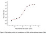 The cluster of differentiation (CD) antigen CD28 is a member of the immunoglobulin subfamily. CD28 is a central co-stimulatory molecule for TCR-mediated activation such as cytokine production and T-cell proliferation upon ligand binding and TCR stimulation. CD80 and CD86 are expressed on antigen presenting cells and CD86 is primary ligand for CD28. Thus a functional binding ELISA assay was conducted to detect the interaction of recombinant rat CD28 and recombinant human CD86. Briefly, CD28 was diluted serially in PBS with 0.01% BSA (pH 7.4). Duplicate samples of 100 μl were then transferred to CD86-coated microtiter wells and incubated for 1h at 37°C. Wells were washed with PBST and incubated for 1h with anti-CD28 pAb, then aspirated and washed 3 times. After incubation with HRP labelled secondary antibody for 1h at 37°C, wells were aspirated and washed 5 times. With the addition of substrate solution, wells were incubated 15-25 minutes at 37°C. Finally, add 50 uL stop solution to the wells and read at 450/630 nm immediately. The binding activity of recombinant rat CD28 and recombinant human CD86 was shown, the EC50 for this effect is 0.07 ug/mL.
