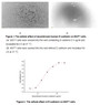 E-Cadherin, also known as Uvomorulin in the mouse and rat, is a 120 kDa member of the Cadherin family of cell surface glycoproteins that mediate cell adhesion. Human E-Cadherin shares 81% amino acid sequence identity with the rat and mouse proteins. It is a single-pass transmembrane protein that mediates calcium-dependent epithelial cell adhesion. As E-cadherin has the function of cell adhesion, we measure the activity of recombinant human E-cadherin by the ability of the immobilized protein to support the adhesion of MCF7 human breast cancer cells. When 5 x 104 cells/well are added to different concentrations of recombinat human E-cadherin coated plates, cells will adhere after 2 hour incubation at 37 °C. The adhesion of MCF7 after 2 hour incubation at 37 °C observed by inverted microscope was shown. Cell adherent was in a dose dependent manner, the result, the EC50 was 0.23 ug/ml.