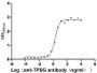 Measured by its binding ability in a functional ELISA. Immobilized Macaca fascicularis TPBG at 2 μg/mL can bind Anti-TPBG recombinant antibody, the EC50 is 1.672-2.181 ng/mL.