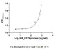 Measured by its binding ability in a functional ELISA. Immobilized yuaB at 5 μg/ml can bind human HP_0175 with a linear range of 31.25-600.00 ng/ml.