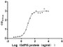 Measured by its binding ability in a functional ELISA. Immobilized Mouse Gfral at 5 μg/mL can bind Mouse Gdf15, the EC50 is 7.926-10.52 ng/mL.