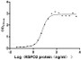 Measured by its binding ability in a functional ELISA. Immobilized Human ZNRF3 at 5 μg/mL can bind Human RSPO2, the EC50 is 5.091-6.991 ng/mL.