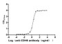 Activity Image