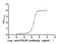 Activity Image