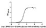 The Binding Activity of SARS-CoV-2-S Antibody with SARS-CoV-2-S1-RBD; Activity: Measured by its binding ability in a functional ELISA. Immobilized SARS-CoV-2-S1-RBD at 2 µg/ml can bind SARS-CoV-2-S Antibody, the EC50 is 15.29 ng/ml. The Binding Activity of SARS-CoV-2-S Antibody with SARS-CoV-2-S1-RBD; Activity: Measured by its binding ability in a functional ELISA. Immobilized SARS-CoV-2-S1-RBD at 2 µg/ml can bind SARS-CoV-2-S Antibody, the EC50 is 15.29 ng/ml.