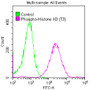 Overlay histogram showing Hela cells stained with RAC07074 (red line) at 1:50. The cells were fixed with 70% Ethylalcohol (18h) and then permeabilized with 0.3% Triton X-100 for 2 min.The cells were then incubated in 1x PBS /10% normal goat serum to block non-specific protein-protein interactions followed by primary antibody for 1 h at 4?.The secondary antibody used was FITC goat anti-rabbit IgG (H+L) at 1/200 dilution for 1 h at 4?. Control antibody (green line) was used under the same conditions. Acquisition of >10,000 events was performed.