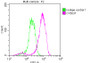 Overlay histogram showing Jurkat cells stained with RAC07312 (red line) at 1:50. The cells were fixed with 70% Ethylalcohol (18h) and then incubated in 10% normal goat serum to block non-specific protein-protein interactions followedby the antibody (1ug/1*106 cells) for 1 h at 4?.The secondary antibody used was FITC-conjugated goat anti-rabbit IgG (H+L) at 1/200 dilution for 30min at 4?. Control antibody (green line) was Rabbit IgG (1ug/1*106 cells) used under the same conditions. Acquisition of >10,000 events was performed.