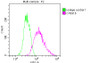 Overlay histogram showing Jurkat cells stained with RAC07449 (red line) at 1:50. The cells were fixed with 70% Ethylalcohol (18h) and then incubated in 10% normal goat serum to block non-specific protein-protein interactions followedby the antibody (1ug/1*106 cells) for 1 h at 4?.The secondary antibody used was FITC-conjugated goat anti-rabbit IgG (H+L) at 1/200 dilution for 30min at 4?. Control antibody (green line) was Rabbit IgG (1ug/1*106 cells) used under the same conditions. Acquisition of >10,000 events was performed. Overlay histogram showing Jurkat cells stained with RAC07449 (red line) at 1:50. The cells were fixed with 70% Ethylalcohol (18h) and then incubated in 10% normal goat serum to block non-specific protein-protein interactions followedby the antibody (1ug/1*106 cells) for 1 h at 4?.The secondary antibody used was FITC-conjugated goat anti-rabbit IgG (H+L) at 1/200 dilution for 30min at 4?. Control antibody (green line) was Rabbit IgG (1ug/1*106 cells) used under the same conditions. Acquisition of >10,000 events was performed.