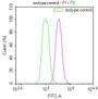Overlay Peak curve showing Hela cells stained with RAC07480 (red line) at 1:100. The cells were fixed in 4% formaldehyde and permeated by 0.2% TritonX-100. Then 10% normal goat serum to block non-specific protein-protein interactions followed by the antibody (1ug/1*106cells) for 45min at 4?. The secondary antibody used was FITC-conjugated Goat Anti-rabbit IgG(H+L) at 1:200 dilution for 35min at 4?.Control antibody (green line) was rabbit IgG (1ug/1*106cells) used under the same conditions. Acquisition of >10,000 events was performed. Overlay Peak curve showing Hela cells stained with RAC07480 (red line) at 1:100. The cells were fixed in 4% formaldehyde and permeated by 0.2% TritonX-100. Then 10% normal goat serum to block non-specific protein-protein interactions followed by the antibody (1ug/1*106cells) for 45min at 4?. The secondary antibody used was FITC-conjugated Goat Anti-rabbit IgG(H+L) at 1:200 dilution for 35min at 4?.Control antibody (green line) was rabbit IgG (1ug/1*106cells) used under the same conditions. Acquisition of >10,000 events was performed.