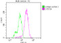 Overlay histogram showing Hela cells stained with RAC07709 (red line) at 1:50. The cells were incubated in 10% normal goat serum to block non-specific protein-protein interactions followedby the antibody (1ug/1*106 cells) for 1 h at 4?.The secondary antibody used was FITC-conjugated goat anti-rabbit IgG (H+L) at 1/200 dilution for 30min at 4?. Control antibody (green line) was Rabbit IgG (1ug/1*106 cells) used under the same conditions. Acquisition of >10,000 events was performed.