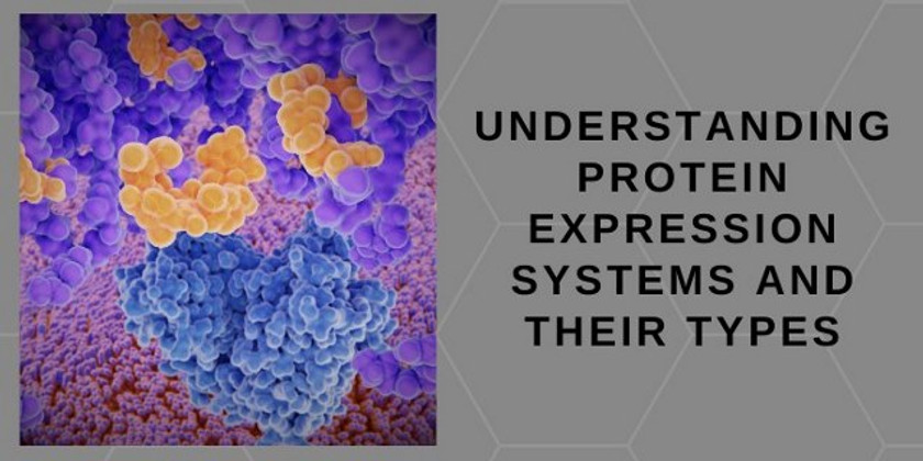 Understanding Protein Expression Systems and Their Types