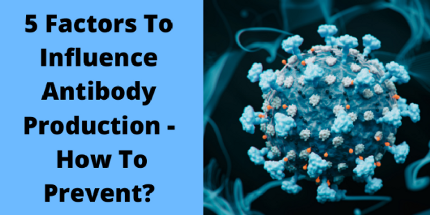 5 Factors To Influence Antibody Production | How To Prevent?