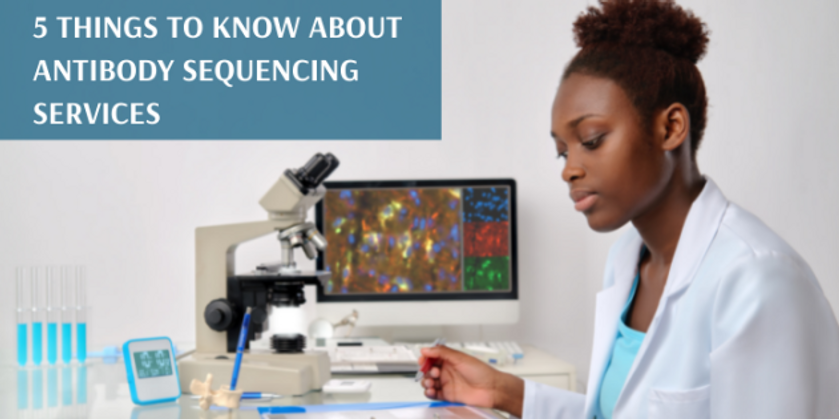 5 Things To Know About Antibody Sequencing Services