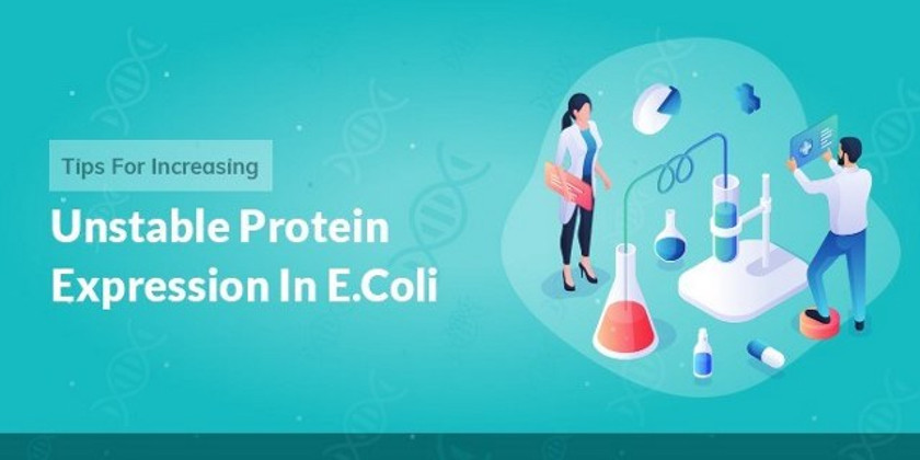 Tips For Increasing Unstable Protein Expression In E.coli