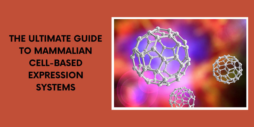 The Ultimate Guide to Mammalian Cell-Based Expression Systems