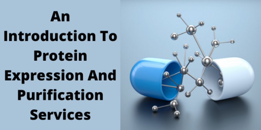 An Introduction To Protein Expression And Purification Services