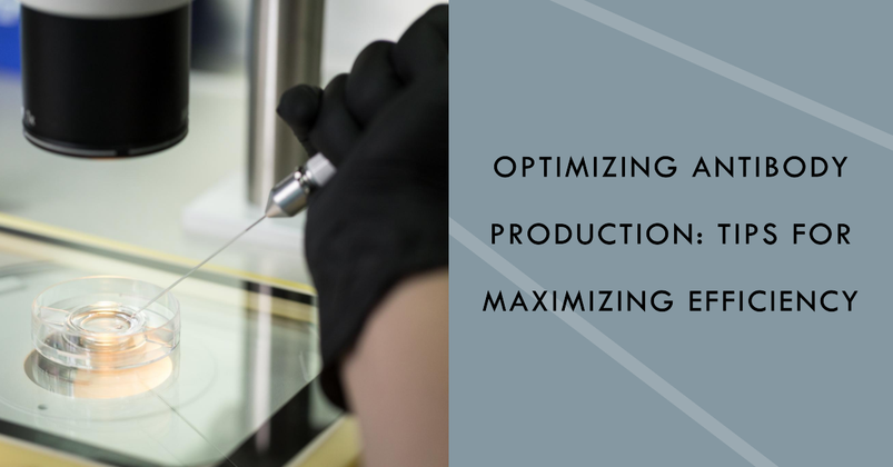 Optimizing Antibody Production: Tips For Maximizing Efficiency