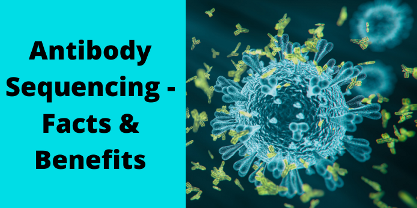 Antibody Sequencing - Facts & Benefits
