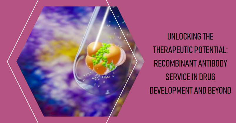 Unlocking The Therapeutic Potential: Recombinant Antibody Service In Drug Development And Beyond