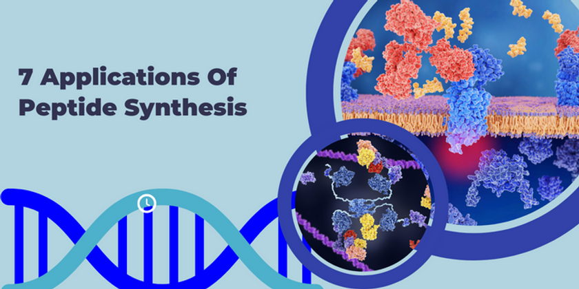 7 Applications Of Peptide Synthesis