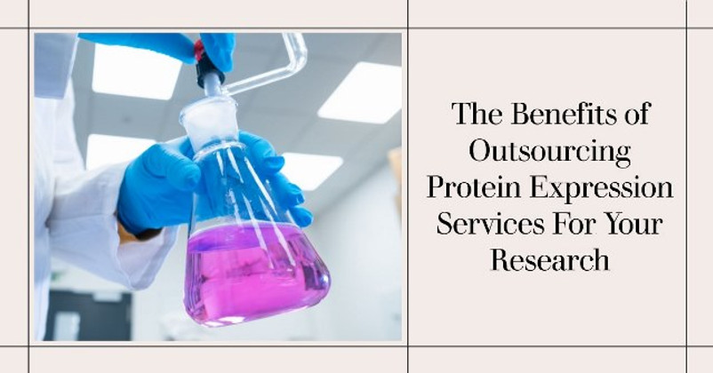 The Benefits of Outsourcing Protein Expression Services For Your Research