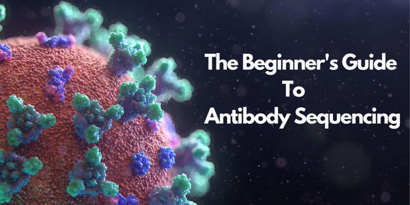 The Beginner's Guide To Antibody Sequencing