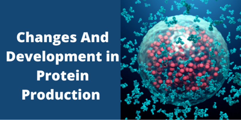 Changes And Development in Protein Production