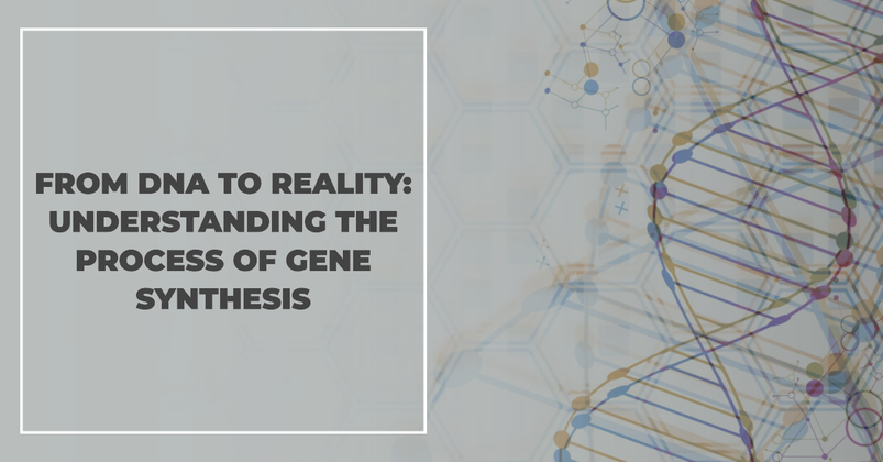 From DNA To Reality: Understanding the Process of Gene Synthesis