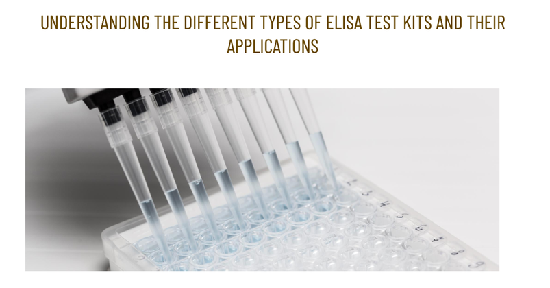 Understanding The Different Types Of ELISA Test Kits And Their Applications