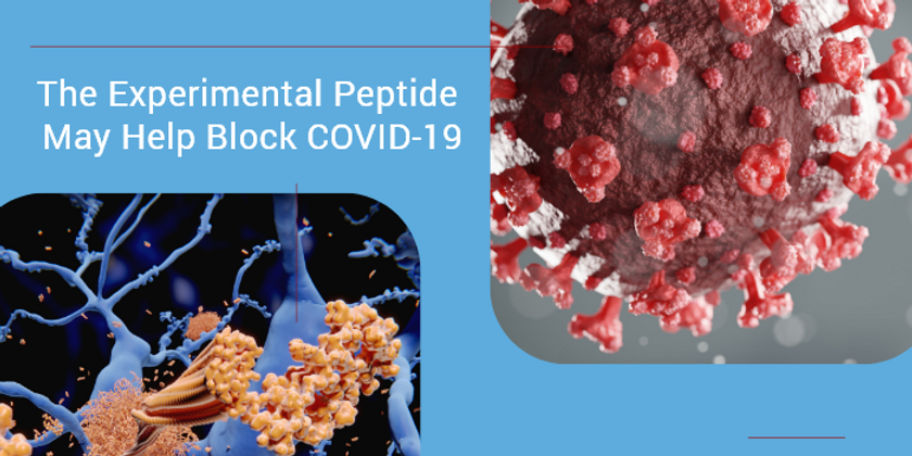 The Experimental Peptide May Help Block COVID-19