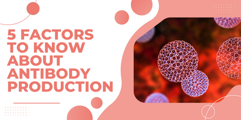5 Factors to Know About Antibody Production