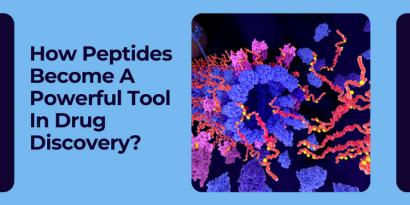 How Peptides Become A Powerful Tool In Drug Discovery?