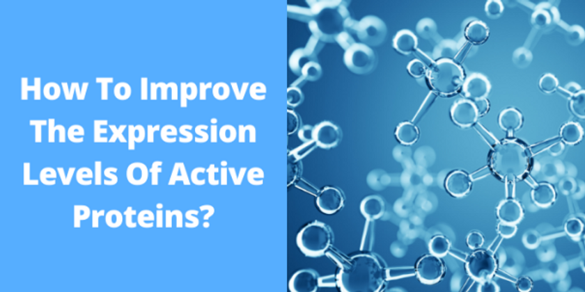 How To Improve The Expression Levels Of Active Proteins?
