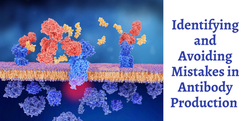 Identifying and Avoiding Mistakes in Antibody Production