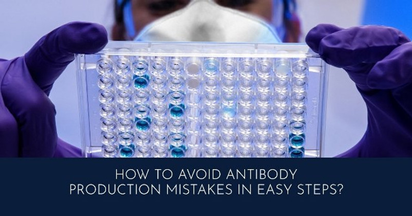 How to Avoid Antibody Production Mistakes In Easy Steps?