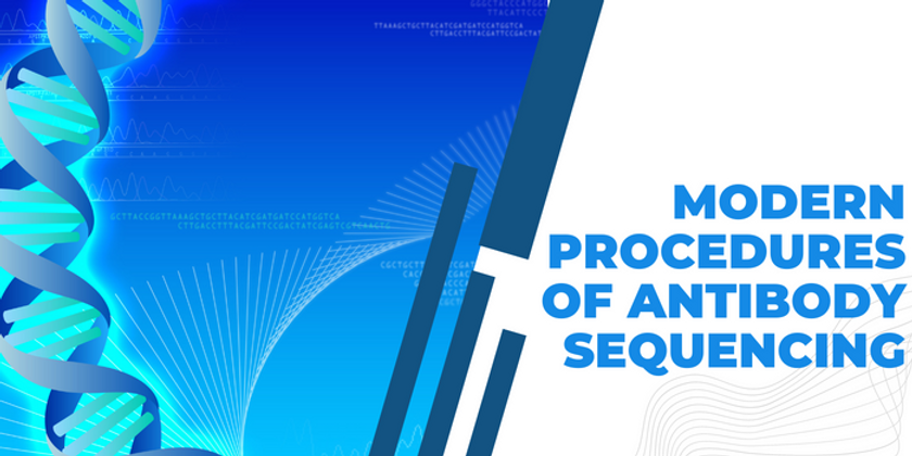 Modern Procedures of Antibody Sequencing