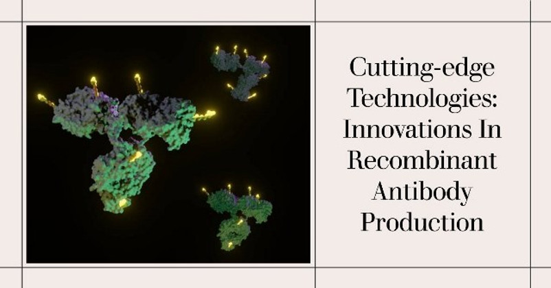 Cutting-edge Technologies: Innovations in Recombinant Antibody Production