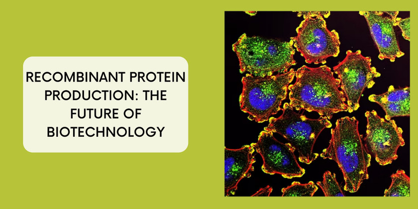Recombinant Protein Production: The Future of Biotechnology