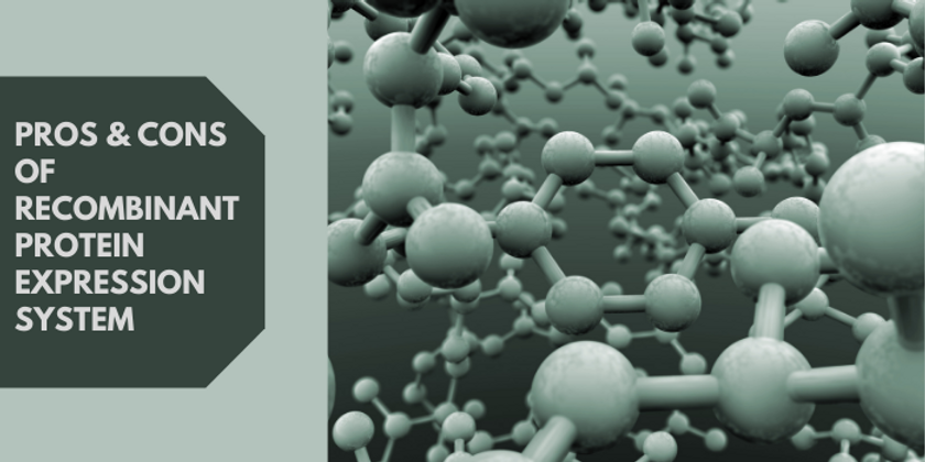 Pros & Cons Of Recombinant Protein Expression System